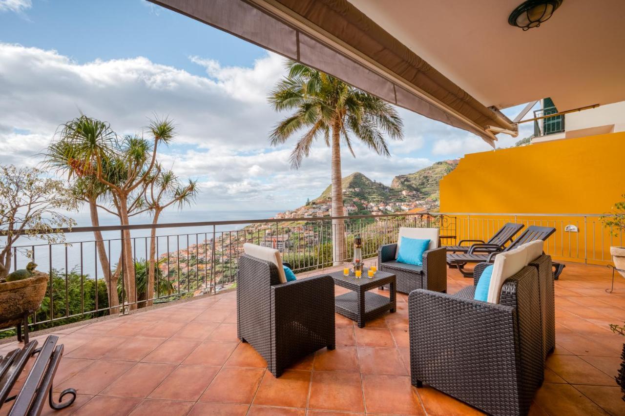 Palm Tree House By Amazing Madeira Willa